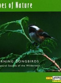 pelicula Sonidos Relajantes – Selva y Aves