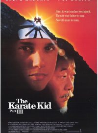 pelicula Karate Kid III. El Desafío Final HD