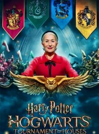 pelicula Harry Potter El Torneo de las Casas de Hogwarts